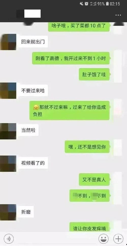 吃瓜群免费聊天记录下载,一场全民参与的娱乐盛宴