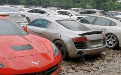 二代玛莎爆料视频下载,独家内幕大公开