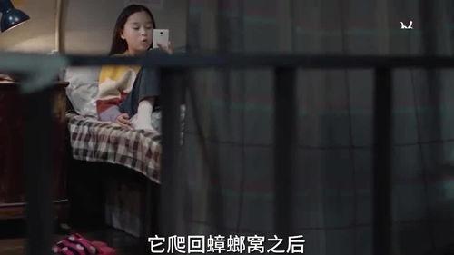 桃花孩子爆料视频大全集,揭秘幕后真相与精彩瞬间 第3张 桃花孩子爆料视频大全集,揭秘幕后真相与精彩瞬间 第3张