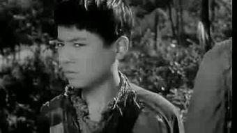 牧童电影在线观看,在线观看，感受田园牧歌的温馨时光  第1张